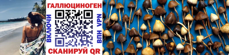 Галлюциногенные грибы Psilocybe  наркотики  Радужный 