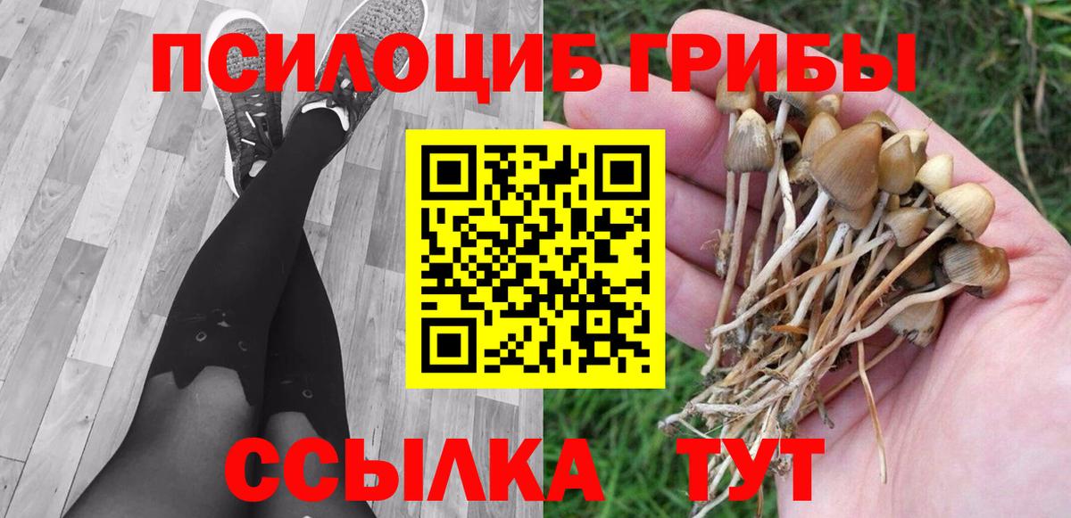 Псилоцибиновые грибы ЛСД Радужный
