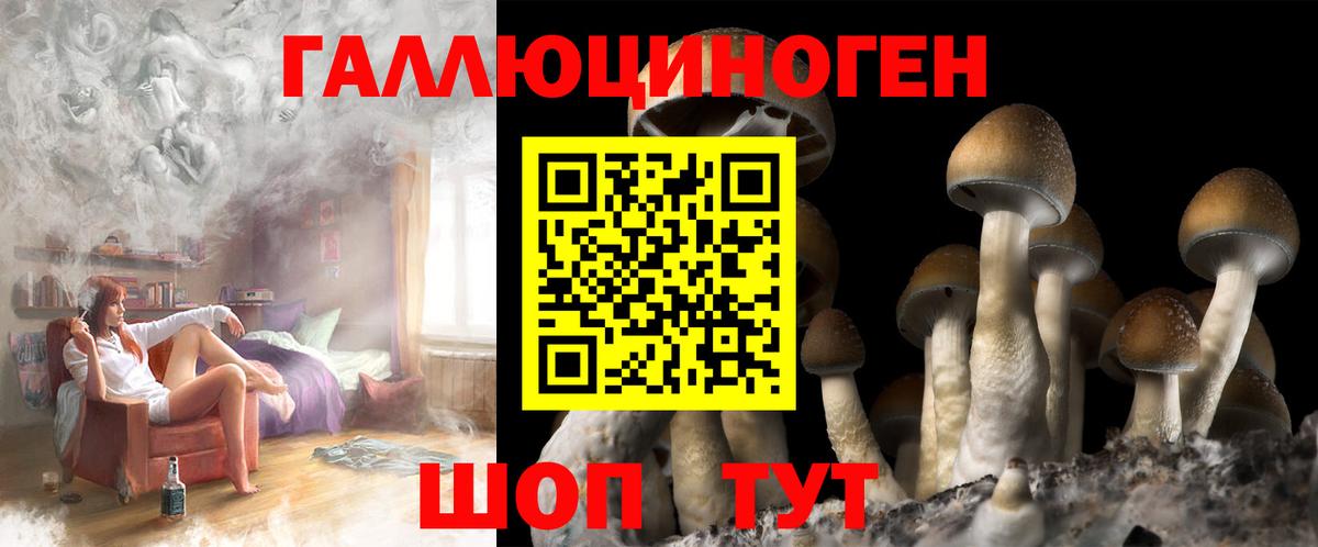 Псилоцибиновые грибы MAGIC MUSHROOMS  Вход с VPN  Радужный 